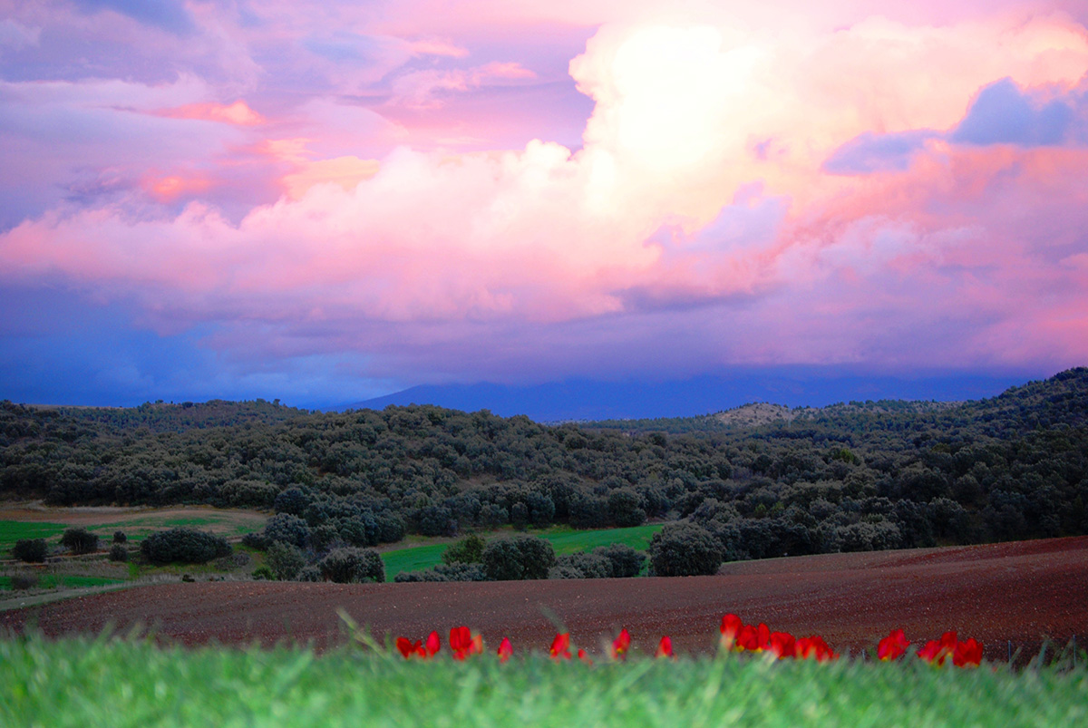 VALLE DEL PIRÓN